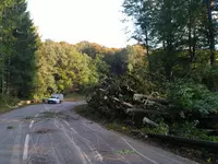 Bild zu Straßensperrung & Baumfällarbeiten Schweighausen September 2017