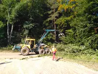 Bild zu Straßensperrung & Baumfällarbeiten Schweighausen September 2017
